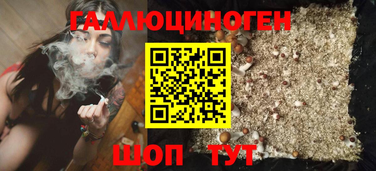 Псилоцибиновые грибы MAGIC MUSHROOMS Новоалександровск