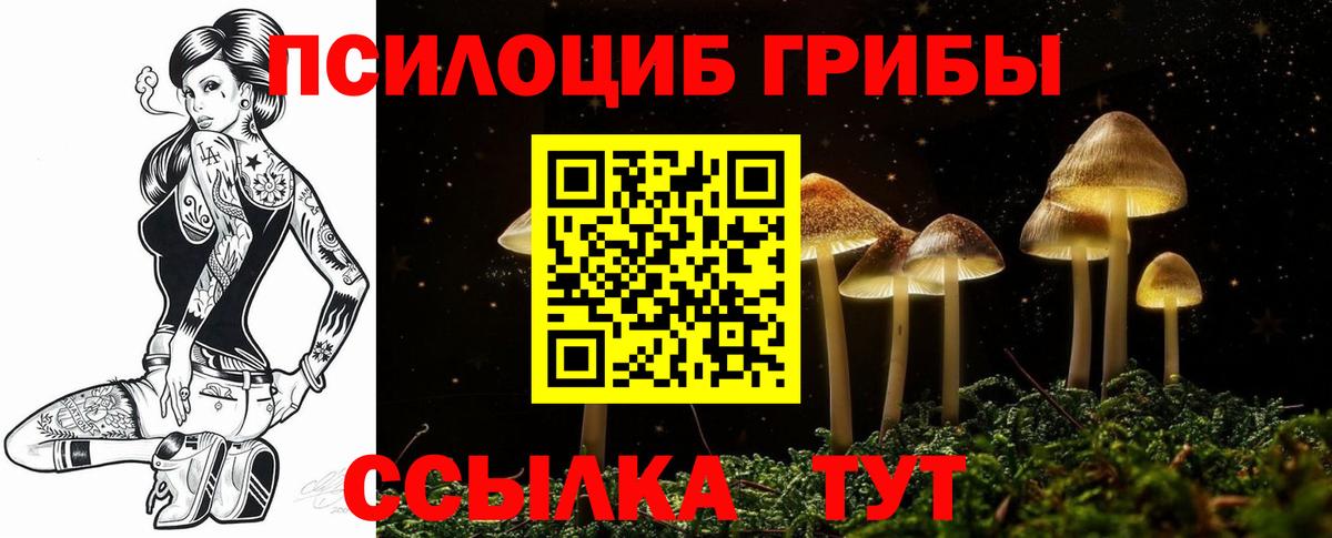 Псилоцибиновые грибы MAGIC MUSHROOMS  Вход с VPN  как найти закладки  Новоалександровск 